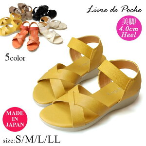 y12/4 N[|10OFFzT_ fB[X ₷ Ȃ EȂ Ƃ ƕt  EFbW\[ ؂ Xgbv obNxg { [EhE|