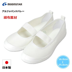 y12/1N[|5%OFFz㗚 C [X^[ At@oho[ { o[V[Y z Moon Star  zCg LbYV[Y WjA j̎q ̎q wZ qC XN[V