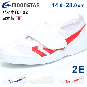 �y12/15 �N�[�|����5%OFF�z���[���X�^�[ �㗚�� ��C �o�C�ITEF 02 �L�b�Y �W���j�A �q�� 2E ���{�� �x���N�� �����₷�� ���Ȃ� ���� ����Ȃ� ���Z�� ���w�� ���Z ���w�� ���w�Z ���w�Z �w�Z �o