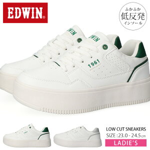 y11/10N[|5%OFFzGhEB Xj[J[ fB[X  ₷ Ȃ ₷ y [Jbg  킢 ꂢ EDW-4317  R[gXj[J[ ʋ ʊw Cy2408