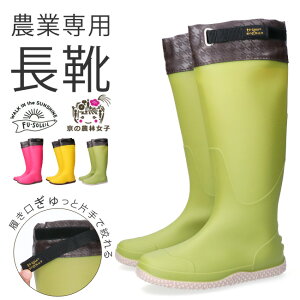 y11/25N[|5OFFzC fB[X _Ɛp O t[ht h h _ _ K[fjO ₷ ₷  킢 FU5009 y tbg i  