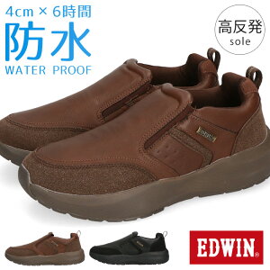 y11/10N[|5%OFFzGhEB Xb| Y h 3E L b  ₷ ₷ Ȃ Ȃ y h EDW-7370 JWAV[Y   ʋ ʊw J V