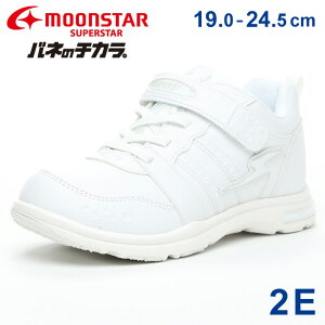 y11/15%OFFN[|z[X^[ X[p[X^[ Xj[J[ LbY ̎q 2E ₷ ₷ Ȃ ol̃`J y }WbNe[v SS J754 Xj[J[ wZw w 