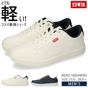 y12/4 N[|10OFFzGhEB Xj[J[ Y [Jbg y Ȃ ₷ ₷ EDW7055  ꂢ EH[LO ʋ ʊw Cy2502z