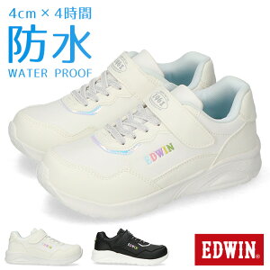 y11/25N[|5OFFzGhEB Xj[J[ LbY h [Jbg ₷ ₷ Ȃ  킢 y xN }WbNe[v EDW-3677 K[Y ̎q ʊw q