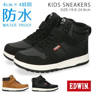 y11/25N[|5OFFzGhEB Xj[J[ LbY j̎q ̎q h nCJbg ₷ ₷ Ȃ  킢 y y xN }WbNe[v EDW-3679 ʊw 