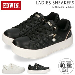 y9/255OFFN[|zGhEB Xj[J[ fB[X Ȃ ₷ ₷ y  [Jbg EDW-4376 킢  ʋ ʊw ^C V[Y Cy2508z