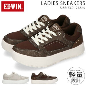 y11/10N[|5%OFFzGhEB Xj[J[ fB[X Ȃ ₷ ₷ y  [Jbg EDW-4377 킢  ʋ ʊw ^C V[Y Cy2509z