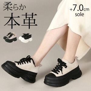 y15.16N[|5%OFFzXj[J[ fB[X  _炩 Ȃ ₷ ₷ ɂȂ Ȃ {v ᔽ 7cm r yʃ[Jbg ʋC 2E  킢 V