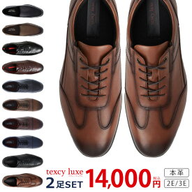 【期間限定クーポンあり】アシックス テクシーリュクス ビジネスシューズ 2足セット 本革 疲れない 歩きやすい 履きやすい 滑らない 防滑 軽量 ビジネスカジュアル カジュアルシューズ ビジネススニーカー スリッポン レースアップ シューズ 紳士 靴