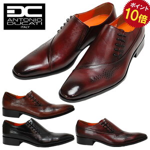 y12/1N[|5%OFFzhXV[Y rWlXV[Y Y {v H ₷ Ȃ   Om[Y XNGAg TCh[X AgjI hDJeB 1179 