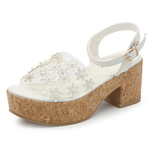 y1聚Pő7{z ALGY AW[ T_ ̎q LbY WjA C  Xgbv V[Y C eB[Y NA   킢 w w ʊw o  zCg  