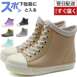 Cu[c LbY WjA q Sh C JC ̎q j̎q K[Y {[CY C Vv J̓ ʊw ʉ ʔ ł   ubN bh u[ V[g Xj[J[ 