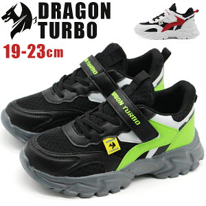 y5聚Pő8{z Xj[J[ LbY WjA q C   ubN zCg   }WbNe[v Vv bV ₷ ₷ Ȃ ʊw oZ wZ 