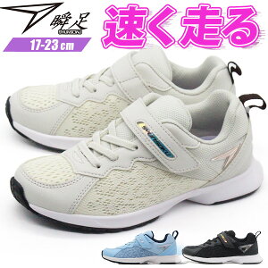 y25聚Pő8{z u Xj[J[ LbY WjA q C ̎q   ubN AC{[ TbNX h Ȃ ₷ ₷ Ȃ y y ʊw 㗚 ^ 