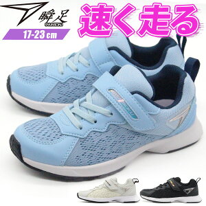 u Xj[J[ LbY WjA q C ̎q   ubN AC{[ TbNX h Ȃ ₷ ₷ Ȃ y y ʊw 㗚 ^ ̈  킢 