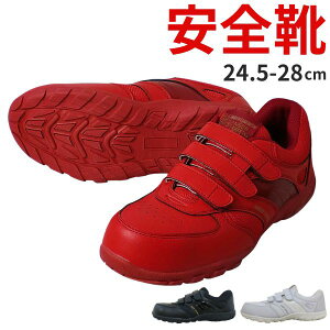 SC Y C Z[teB[V[Y Xj[J[  ubN  zCg  bh |c ₷ Obv xg 3E EEE  L JIS S푊 Vv TCY 傫