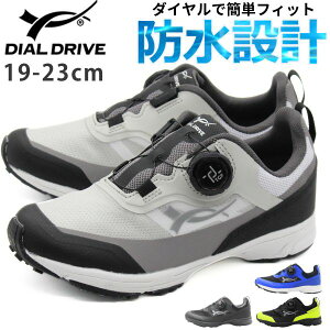 Xb| LbY q WjA j̎q C h J J̓ Xj[J[  ubN zCg  F CG[₷ _C _C qC ^ ʊw ^C O S _C