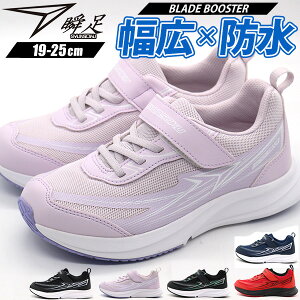 y30聚Pő8{z u Xj[J[ LbY WjA q C j̎q ̎q  ubN lCr[  bh  h J h Ȃ L 3E ₷ ₷ Ȃ y y