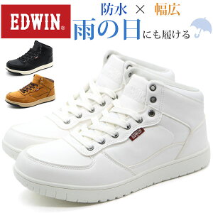 GhEB Xj[J[ fB[X C nCJbg   zCg ubN h CY L 3E d J h NbV OC\[ wZ ~  ʋ ʊw  zCg\[ 