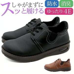 Xj[J[ fB[X C  ubN F uE L 4E h J  J̓ RC C nYt[ GANbV O ~ L Ȃ ₷ y  r i