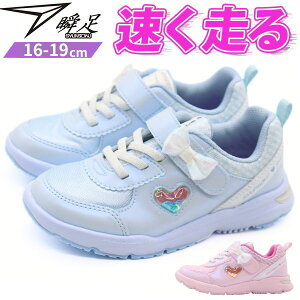 u Xj[J[ LbY WjA q C ̎q sN TbNX h Ȃ ₷ ₷ Ȃ n[g { ʊw 㗚 ^ ̈ Vv LL 킢 