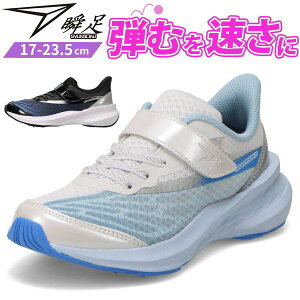 u Xj[J[ LbY WjA q C ̎q TbNX ubN  h Ȃ nuT g| ₷ ₷ Ȃ y y ʊw 㗚 ^ ̈ 킢 