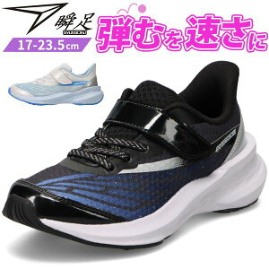 u Xj[J[ LbY WjA q C ̎q TbNX ubN  h Ȃ nuT g| ₷ ₷ Ȃ y y ʊw 㗚 ^ ̈ 킢 