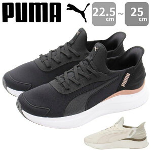 v[} Xb| fB[X Xj[J[  zCg  ubN C[YC EH[LO ^ ₷ ₷ Ȃ uh PUMA SOFTRIDE HARMONY LACE EASE IN 312671
