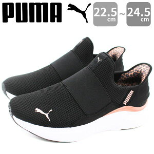 v[} Xj[J[ fB[X C  ubN \[ ₷ jOV[Y EH[LOV[Y lC uh ^ ʋCC[YCy K Xb| _炩 puma 312809