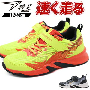 u Xj[J[ LbY WjA q C j̎q ̎q  ubN CG[ y y ₷ ₷ Ȃ Ȑ  ʊw ʉ ^ ̈ ^ X|[c  AL