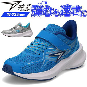 u Xj[J[ LbY WjA q C j̎q u[ Vo[ h Ȃ nuT g| ₷ ₷ Ȃ y y ʊw 㗚 ^ ̈  