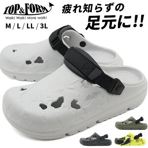 y5聚Pő8{z T_ Y C  ubN J[L O[ F C T_ RtH[gT_ ܐ悠 y y ʋC L 3E Ȃ d ₷ Jo