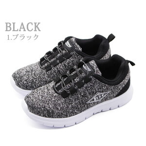 Xj[J[ fB[X C  ubN DF O[ y y Ȑ ɂ ʋ ʊw Vv xAT[t Bear Surf bs1010