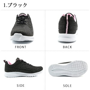 Xj[J[ fB[X C  ubN  zCg y y ɂ h 傫TCY EȒP Bear surf BS-1053