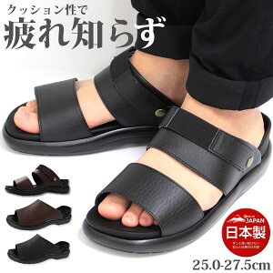 T_ Y C  ubN uE y y L 3E 2way xg Xgbv X|[c  Ƃ ItBX { Y NbV Г TCY ₷ ₷ 