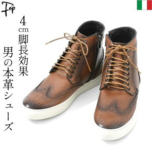 C^A U[ rWlXV[Y rWlX Xj[J[ Y {v nCJbg ECO`bv   ubN  ₷ 傫 28cm 28.5cm