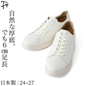 { Y U[ Xj[J[ {v V[Nbg V[Y rWlX Xj[J[ wȂC q[Abv V[Y    JWA ubN zCg  v Xj[J[ y 