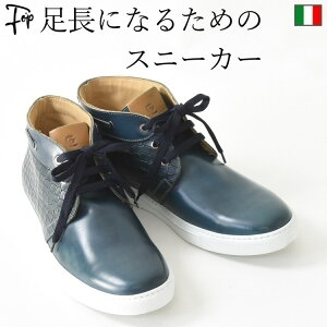 C^A U[ Xj[J[ Y {v 27cm 27.5cm V[NbgV[Y JWA ꂢ  nCJbg C^A uh  lCr[  zCg \[ 傫TCY 