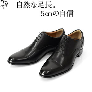 {v rWlXV[Y V[NbgV[Y Y vC 3E g Abv 5cm C  Xg[g`bv H uE  F ubN uh }hX madras wȂC BEE CLASSIC