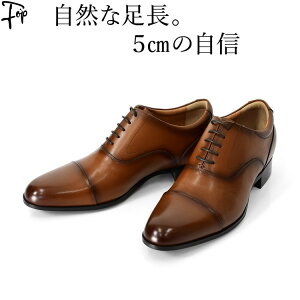 {v rWlXV[Y V[NbgV[Y Y vC 3E g Abv 5cm C  Xg[g`bv H uE  F ubN uh }hX madras wȂC BEE CLASSIC