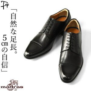 gAbv rWlXV[Y OH Xg[g`bv   ubN uE {v vC 3E EEE g 5cm Abv V[Nbg V[Y rWlX ʋ amC  傫TCY 