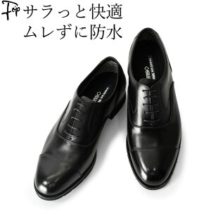 rWlXV[Y Y { h {v ʋC5E y Jp vC L  amC Ȃ ₷ rWlX V[Y ₷ J  }hX C Y SAebN