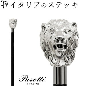 Y XebL    { CI Vo[ ubN  Aj} nh Aj} wbh p\beB PASOTTI am v[g  Mtg hV̓ ̓ a 