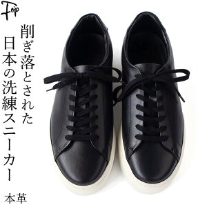 { Y Xj[J[ {v Xj[J[  U[ Xj[J[  vC vXj[J[ ꂢ ₷  I[ zCg I[ ubN ru\[ 傫 TCY 50 3