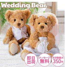 ［結婚式に♪］ぬいぐるみ電報 テディベア おしゃれ 祝電 結婚祝い ウエディングベア ウェルカムドール 誕生日 ギフト 卒業式 入学式 合格 開店 昇進 出産祝い あす楽【グレース・ベア】
