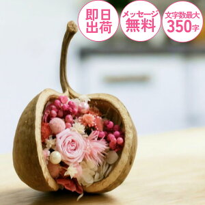 mjdnKĂԎuub^ibcvvU[uht[ bZ[Wtd   CeA a jdyKĂԍK̎@ub^ibcPz