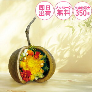 mdnKĂԎ ub^ibc vU[uht[   jd a  jd Mtg v[g LO AC i  җyKĂԍK̎@ub^ibcY