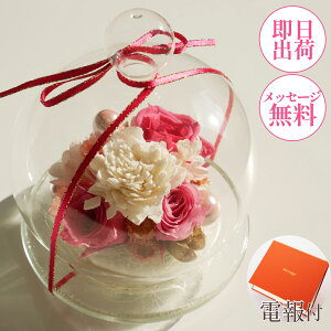 mdnKXh[ vU[uht[   jd  wj a LO җ JXj i AC  Vzj ԁyAWh[vU@tFz