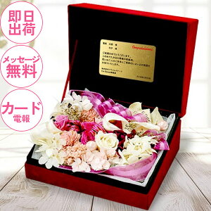 mdnvU[uht[  jd a   Mtg LO j җ i AC JXj  jdyvU[uhREDBOX@sNz